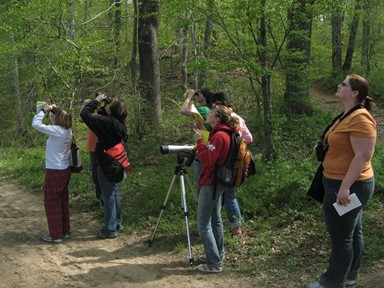 observadores